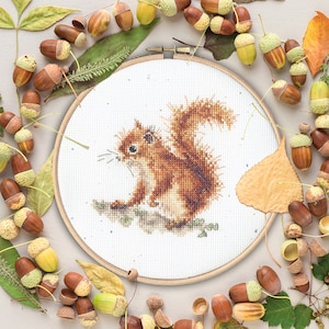Squirrel. Hannah Dale cross-stitch kit on Aida 14 count canvas. Forest Animal cross stitch kit Bothy Threads XHD116P