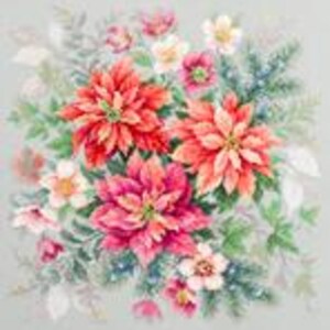 May include: A bouquet of red and pink poinsettia flowers with white flowers and green foliage on a gray background.