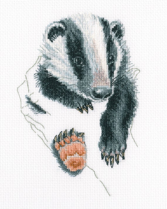DMC I Can Stitch - Badger DMC I Can Stitch - Badger