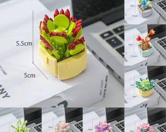 Mini Succulent Plants Building Kit. DIY Potted Set for Creative Decor. Gift Ideas by Wizardi