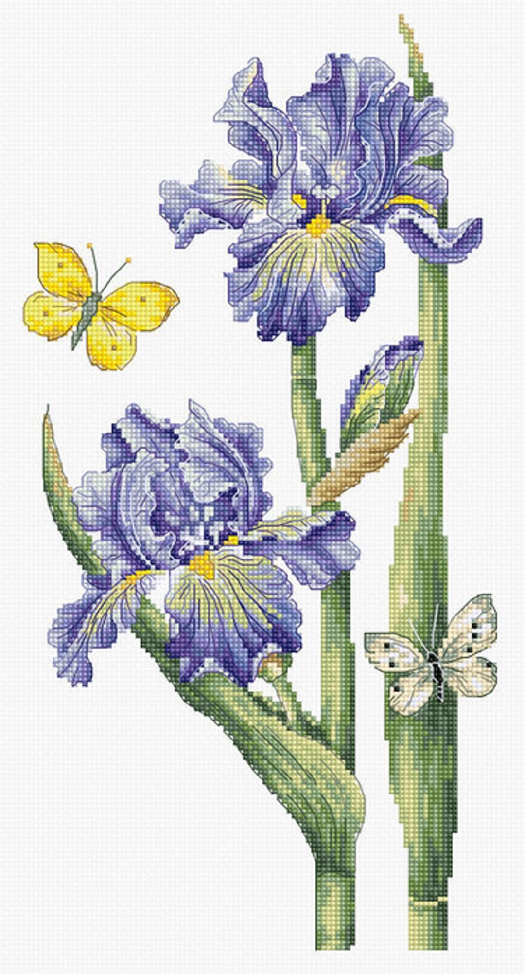 Blue Irises Crossstitch Kit on Aida 16 Count Canvas. Blue Spring