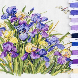 Puede incluir: Patr&oacute;n de punto de cruz con un ramo de iris p&uacute;rpuras, azules y amarillas con hojas verdes y una lib&eacute;lula. El patr&oacute;n va acompa&ntilde;ado de un juego de hilos de bordar en varios tonos de p&uacute;rpura, azul y amarillo.