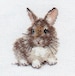 Rabbit cross-stitch kit on Aida 14 count canvas. Monochrome little Bunny Animal. Easy & Fast Cross Stitch kit by Alisa 0-170 