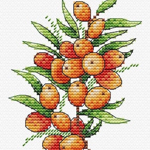May include: A cross-stitch pattern of a branch of sea buckthorn berries. The berries are orange and yellow and are arranged in clusters on the branch. The leaves are green and have a detailed stitch pattern.