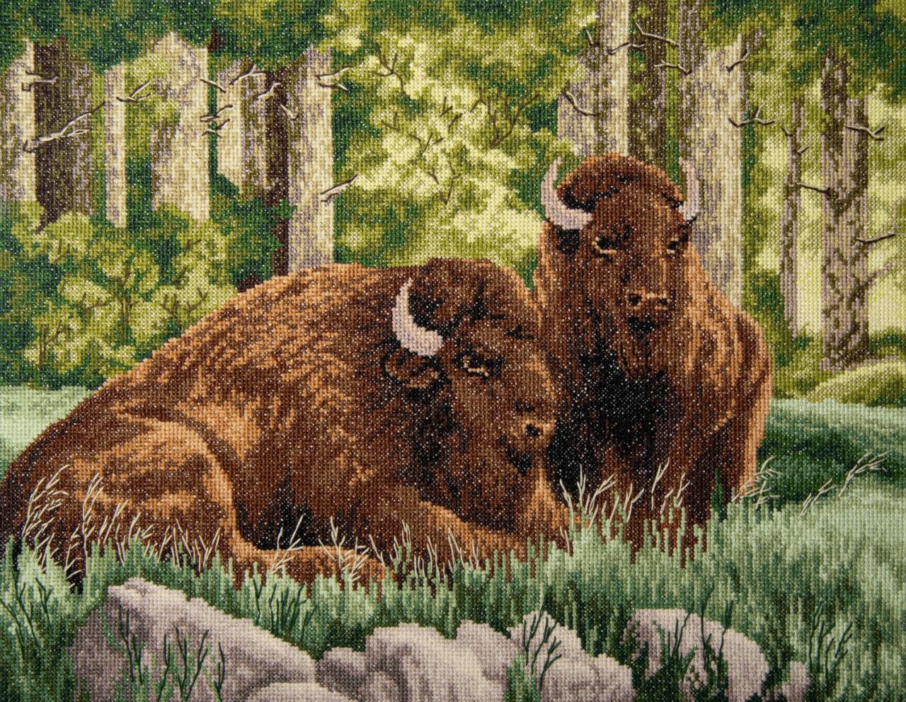 Bison - Cross-stitch Kit on Aida 14 Count Canvas. Wild