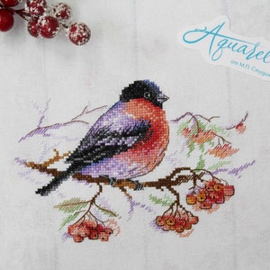 May include: Cross stitch pattern of a red-breasted robin perched on a branch with red berries. The pattern is titled "Aquarelle" by M.P. Stepanova.