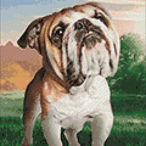 Bulldog Diamond painting set by Crafting Spark. CS2537 Diamond Art kit. Large Diamond painting kit