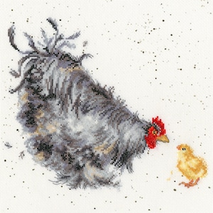 May include: A grey and white hen with a red comb looks down at a small yellow chick. The hen has a fluffy tail and the chick is standing on a white background with brown speckles.
