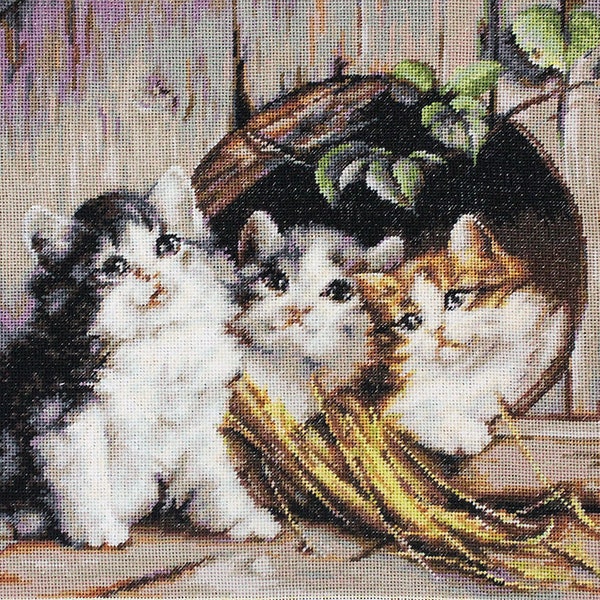 Grey and Ginger Cats Cross stitch kit. Kittens Cross Stitch Pattern with Floss. Cross-stitch kit on Aida 16 count canvas. Luca-s B520L