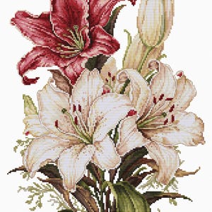 May include: A cross-stitch floral design featuring lilies in full bloom. The arrangement includes a deep burgundy lily, creamy white lilies, and a closed bud. Green leaves and stems complete the bouquet, set against a white background.
