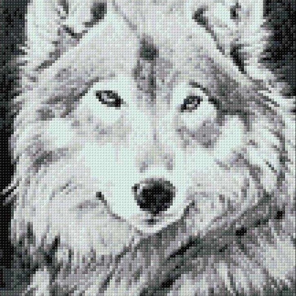 Grey Wolf. Diamond Art kit. Diamond painting kit 10.6 x 14.9 inches.  Diamond painting set by Crafting Spark CS086