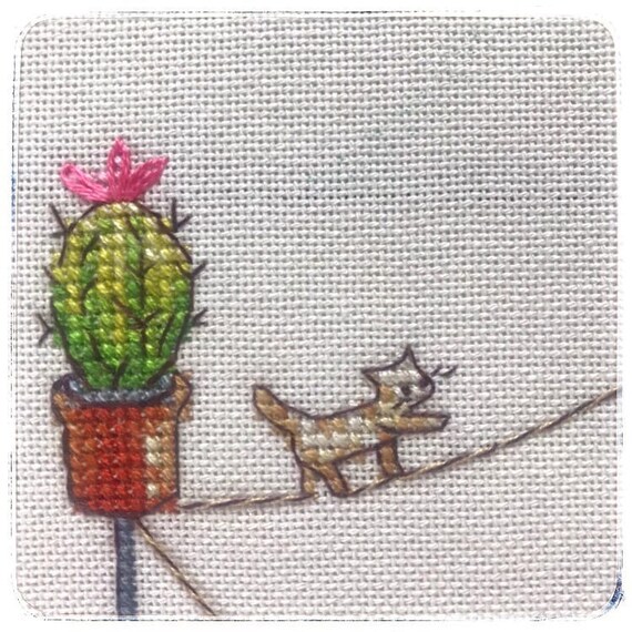 cactus et succulentes 2