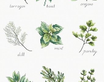 Spices and Herbs Still Life  cross-stitch kit on Aida 16 count canvas.  Cross Stitch kit by Luca-s B2345L