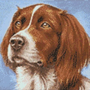 Dog Diamond painting set by Wizardi. WD181 Diamond Art kit. Large Diamond painting kit