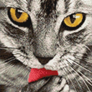 Cat Eyes Diamond painting set by Crafting Spark. Little Kitten Cs2533 Diamond Art kit. Large Diamond painting kit