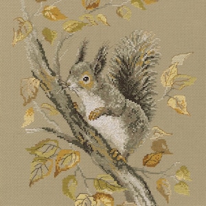 Squirrel cross-stitch kit on Aida 14 count canvas. Monochrome little Animal. Cross Stitch kit by RTO M577