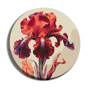 May include: A single red iris flower with a white center and dark purple edges. The flower is in bloom and has a long green stem. The background is a light beige.