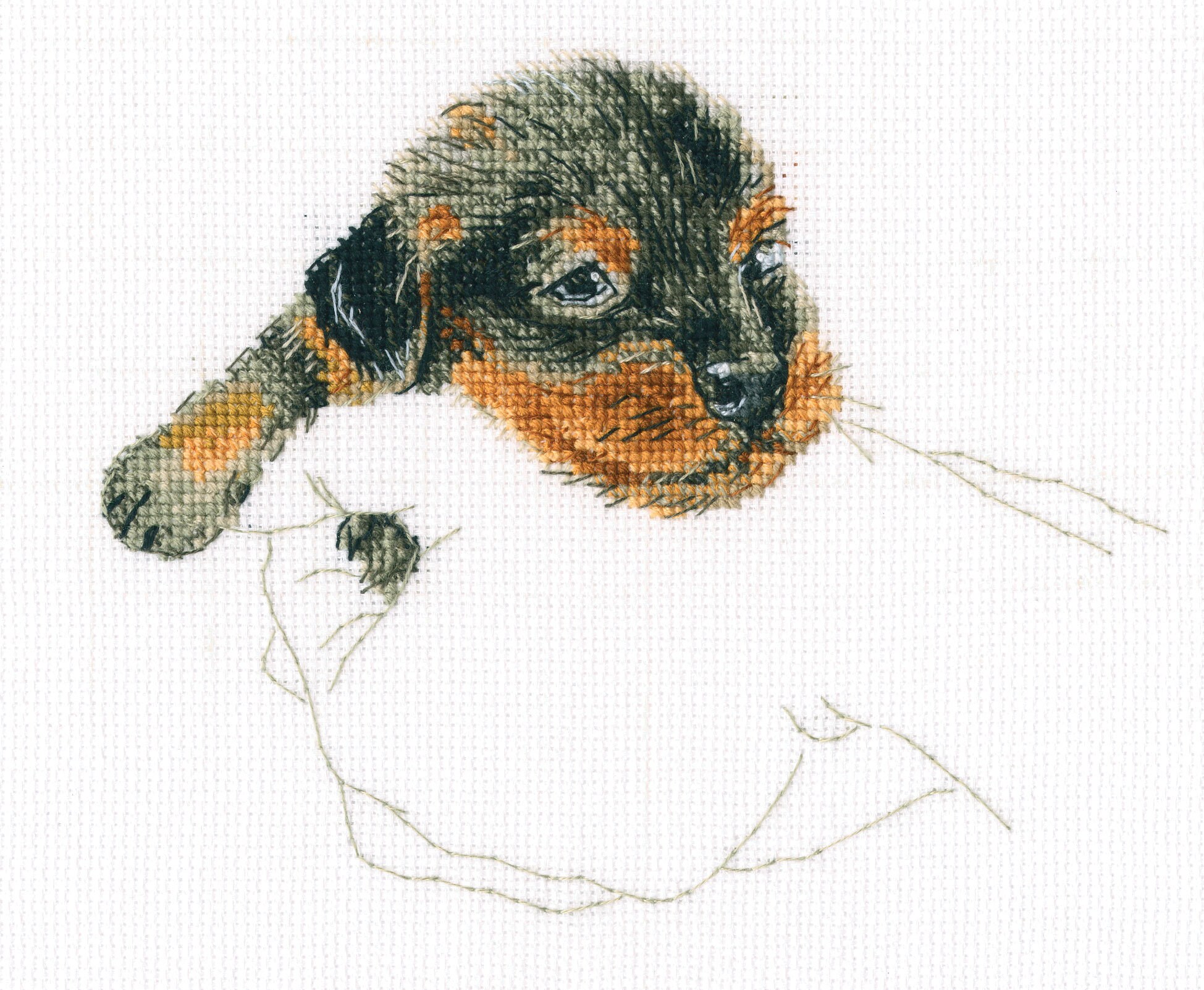 Retriever Cross-stitch Kit on Aida 16 Count Canvas. Warmth in