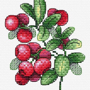 May include: A cluster of red berries with green leaves on a white background. The berries are arranged in a circular pattern, with the leaves surrounding them. The berries are a deep red color, and the leaves are a bright green.