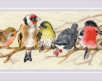 Cross Stitch Kit - Resplendent Quetzal - Bird Cross Stitch Pattern