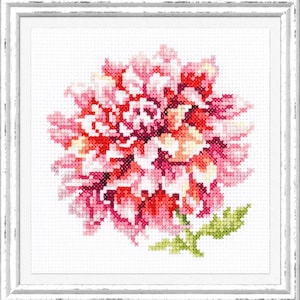 Counted Cross-Stitch Kit - Dahlia. Pink Flower Pattern on Aida 14 Count Canvas. Floral Embroidery Kit by Magic Needle 150-008
