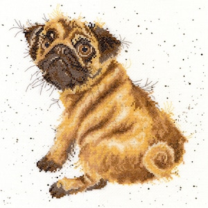 Little Pug. Dog counted cross-stitch kit on Aida 14 count canvas. Puppy cross stitch kit Bothy Threads XHD11