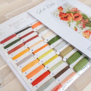 May include: A cross-stitch kit featuring a floral design with red poppies and green foliage. The kit includes a variety of colored embroidery floss and a printed pattern. The packaging displays the text "Set de Broderie".