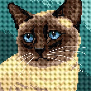 May include: A close-up portrait of a Siamese cat with blue eyes. The cat has a light brown and cream colored coat with a darker brown face and ears. The cat is looking directly at the viewer with a serious expression.