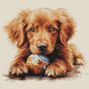 The Play Time - Counted Cross-Stitch Kit. Cross Stitch Pattern on Aida 16 Count Canvas. Puppy Cross Stitch by Luca-S BU5037L