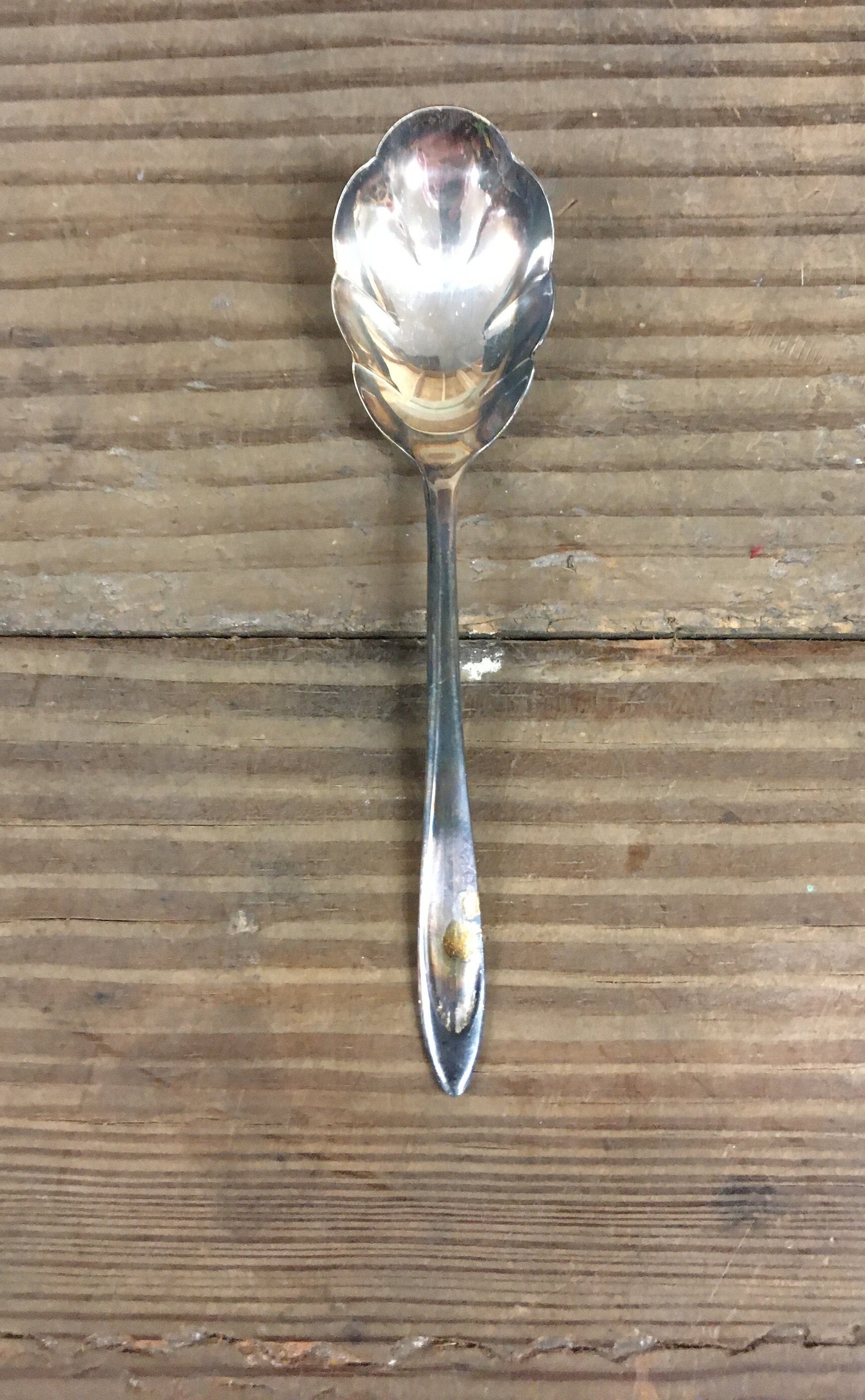 Meriden Silver Plate Co. Silver Spoon Etsy