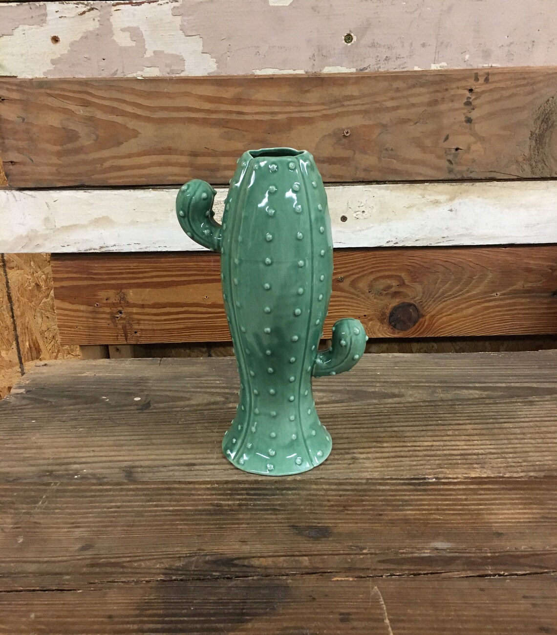 Apropos Home Collection Ceramic Cactus Vase Desert Decor Etsy