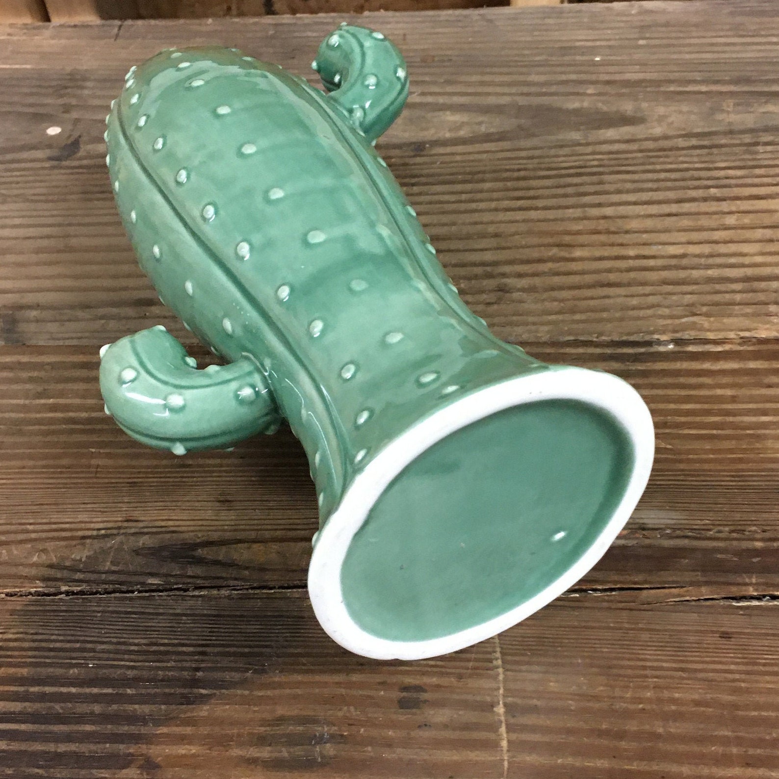 Apropos Home Collection Ceramic Cactus Vase Desert Decor Etsy