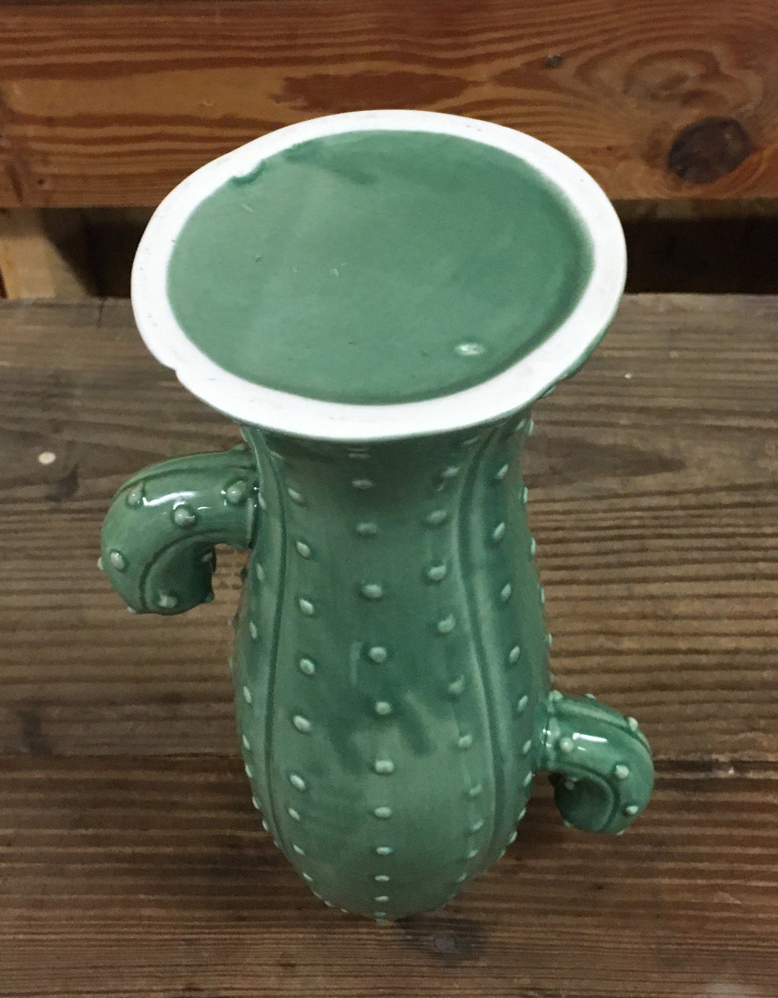 Apropos Home Collection Ceramic Cactus Vase Desert Decor Etsy