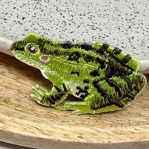 Può includere: Toppa ricamata di rana verde e nera. La rana è seduta su una superficie di legno.
