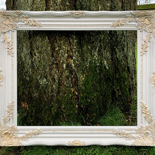 Fine Ornate Gilt Wood & Plaster Rococo Frame Etsy