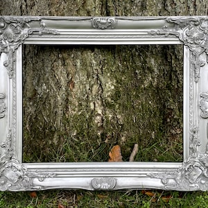 Puede incluir: Un marco de fotos plateado y ornamentado, con detalles de volutas y motivos florales. El marco rectangular está vacío, con un tronco de árbol texturizado en el fondo. El marco es adecuado para exhibir obras de arte o fotografías.
