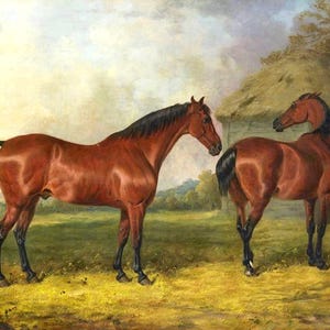 Ornate Framed Oil Painting Print on Canvas of 2 Bay Horses in an Extensive Landscape image 2
