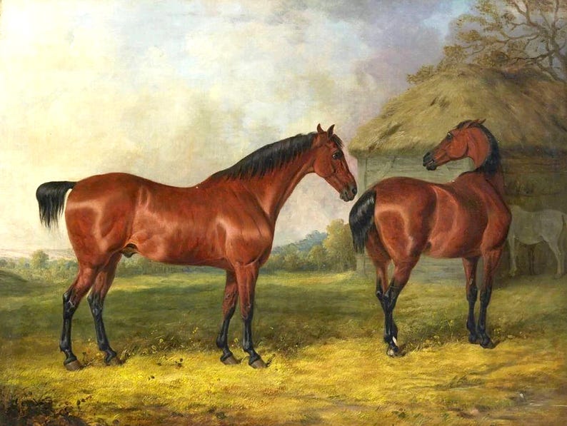 Ornate Framed Oil Painting Print on Canvas of 2 Bay Horses in an Extensive Landscape image 2