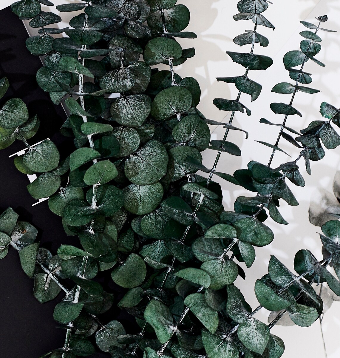 30 Dried Natural Preserved Eucalyptus Stems Bundle Dried Etsy