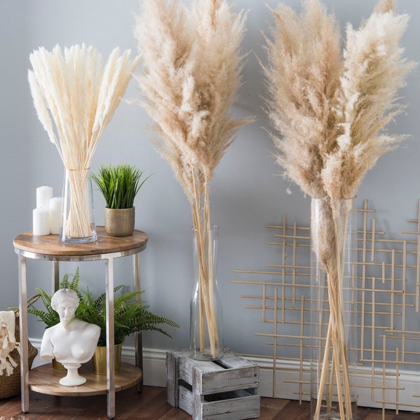 3 Gorgeous High Quality Pampas Grass Stems  - Pampas Grass Dried pack of 3 - Preserved Natural Pampas Grass - Ninezen Pampas Wedding Decor