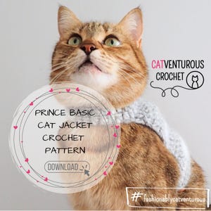 Peut inclure: Un chat tigré roux portant une veste crochetée gris clair. L'image comprend le texte "Prince Basic Cat Jacket Crochet Pattern", "CatVenturous Crochet", et le hashtag "fashionablycatventurous".