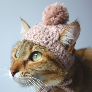 Narby Pompom Cat Hat Crochet Pattern Digital Download image 2