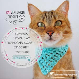 Peut inclure: Gros plan d'un chat portant un bandana-écharpe en crochet bleu clair. Le chat regarde directement la caméra. L'image comprend le texte "Summer Lovin' Cat Bandana-Scarf Crochet Pattern Download" et le hashtag "#fashionablycatventurous".