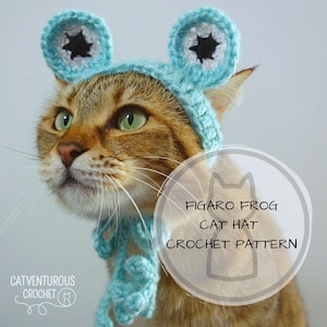Figaro Frog Cat Hat Crochet Pattern - Digital Download