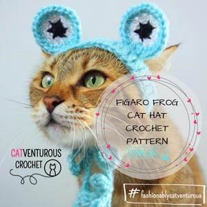 Figaro Frog Cat Hat Crochet Pattern - Detailed & Printable Abdridged Instructions with Video Tutorial - Digital PDF Download