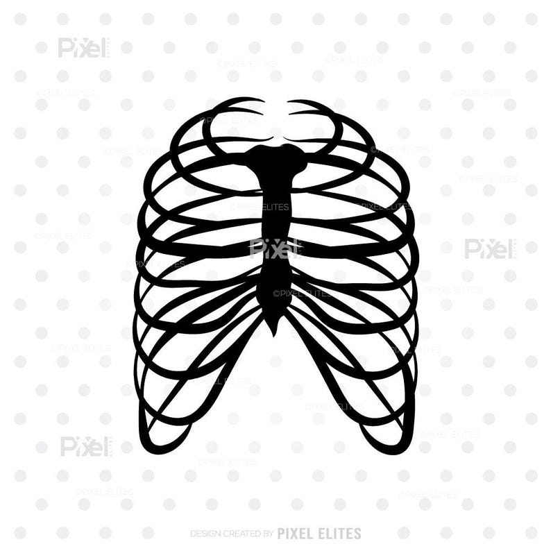 Rib Cage SVG Silhouette Bundle | Halloween Anatomy Cut Files (dxf, Eps ...