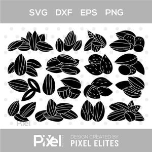 Almond SVG Bundle, Nut Silhouette Clipart, Healthy Food SVG, Wood Nuts SVG Cut File for Cricut and Sublimation