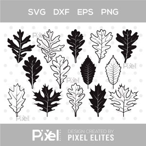 May include: A set of 14 black and white silhouette images of oak leaves. The leaves are in various shapes and sizes, and some are more detailed than others. The images are perfect for crafting, scrapbooking, or digital design.