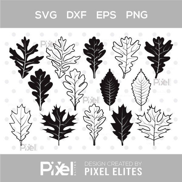 Oak Leaves Silhouette, Oak Leaves SVG, Fall Leaves Svg, Leaves Svg, Oak Leaves Icon Svg, Leaf Svg, Oak Leaves Bundle