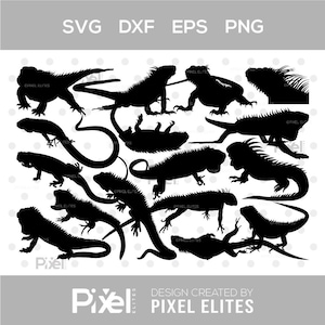 Iguana SVG Bundle: Reptile Silhouette Cut Files for Cricut